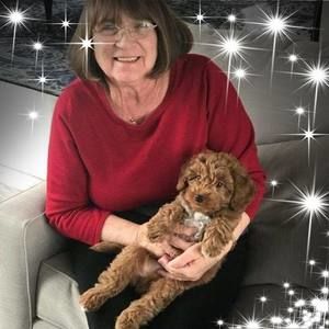 Meet your Posher, Carol